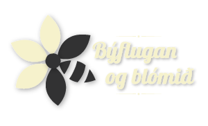 Býflugan og Blómið