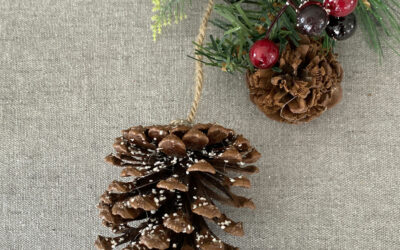 Jóla og áramóta opnun