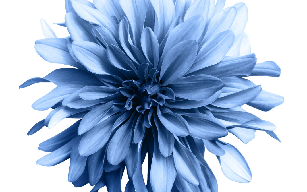 Bóndadagur föstudaginn 23. janúar 2026