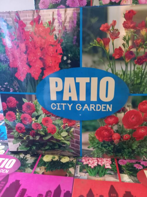 Patio city garden/rauð blanda, 4 týpur af laukum