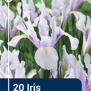 Iris Carmen