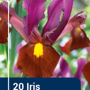 Iris Red Ember