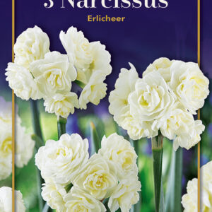 Narcissus Erlicheer