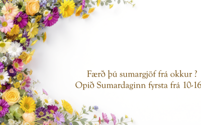 Færð þú sumargjöf frá okkur?*