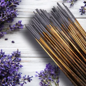 Lavander