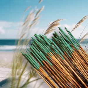 Sea breeze